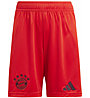 adidas FC Bayern 24/25 Home Y - pantaloni calcio - bambino, Red