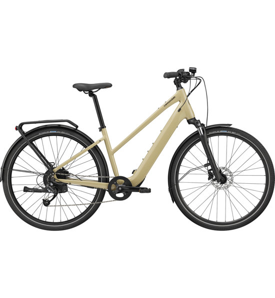 fischer e-bike klapprad test MTB MONTIS 5.0i Elektrofahrrad für Damen und Herren | RH 46 cm | E Bike mit Mittelmotor 50 Nm Farbe:DB 703 Category:Trekkingrad_DDK D223 SCHWARZ inhalator aufbewahrungstasche - ,