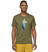 Cotopaxi Llama Stripes Organic - T-Shirt - uomo, Dark Green