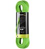 Edelrid Canary Pro Dry 8,8 mm - Einfach/Halb/Zwillingsseil, Green