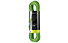 Edelrid Tommy Caldwell Pro Dry DT 9,6 mm - Einfachseil, Green