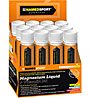 NamedSport Magnesium Liquid + Vitamin B6 - Nahrungsmittelergänzung, Magnesium + B6