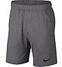 Nike Dri-FIT Training Shorts - Trainingshose kurz - Herren, Grey