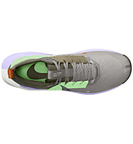 Nike Zegama Trail 2 - Trailrunning-Schuhe - Herren, Grey/Green