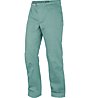Salewa Chaxi Raxi 2 - pantaloni lunghi arrampicata - uomo, Green