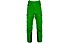 Salewa Ortles 4 GTX Pro - pantaloni hardshell - uomo, Green