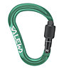 Salewa Ortles HMS M - Karabiner, Green