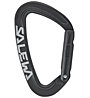 Salewa Ortles Straight - Karabiner, Black