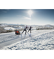 Thule Chariot Cross-Country Skiing Kit - Zubehör Fahrradanhänger, Black